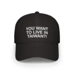 You Want To Live In Taiwan Hat