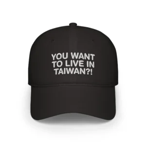 You Want To Live In Taiwan Hat
