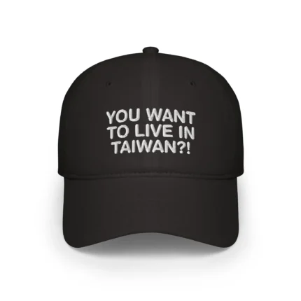 You Want To Live In Taiwan Hat