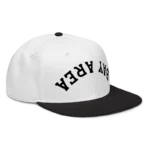 Stephen Curry Upside Down Bay Area Hats