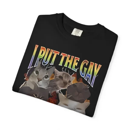 I Put the Gay in Dyslexic Megan Meiyok T Shirt