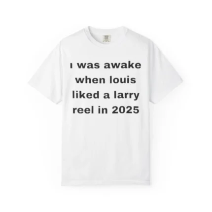 I Was Awake When Louis Liked a Larry Reel in 2025 Shirt