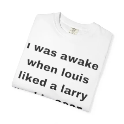 I Was Awake When Louis Liked a Larry Reel in 2025 T Shirt