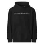 I Am Exactly Like Lana Del Rey Hoodie