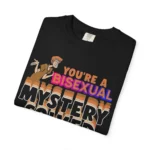 You're Bisexual Mystery Solved T Shirt