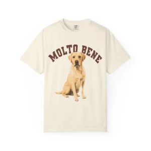 anthropologie golden retriever molto bene shirt