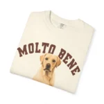 anthropologie golden retriever molto bene T shirt