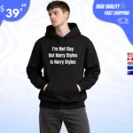 I'm Not Gay But Harry Styles Is Harry Styles Hoodie
